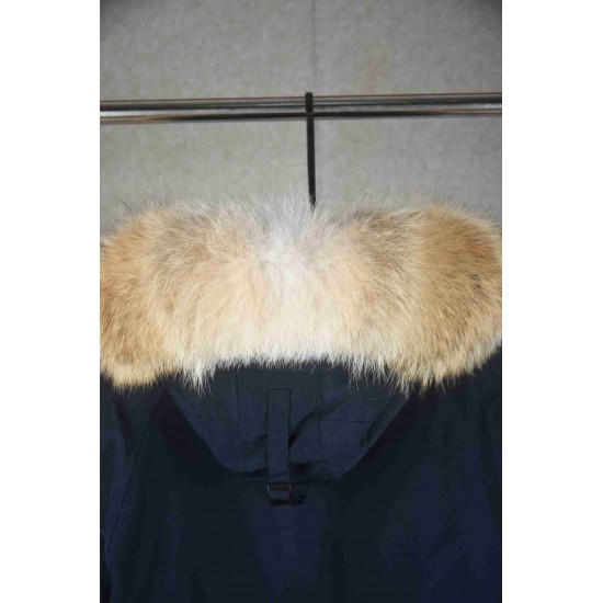 Canada Goose