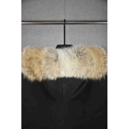 Canada Goose