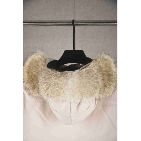 Canada Goose