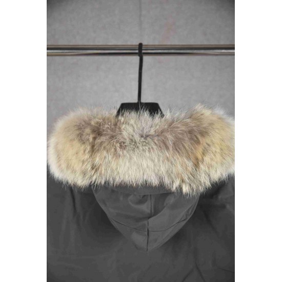 Canada Goose