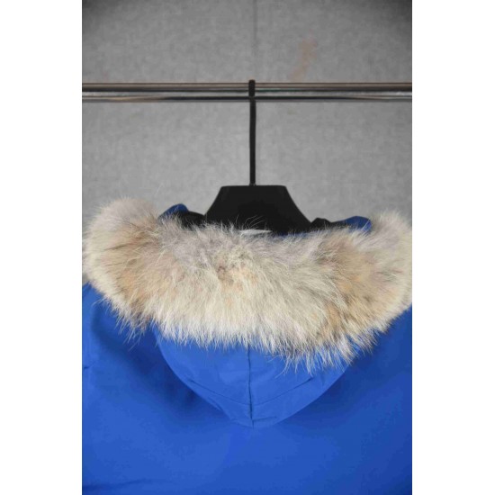 Canada Goose