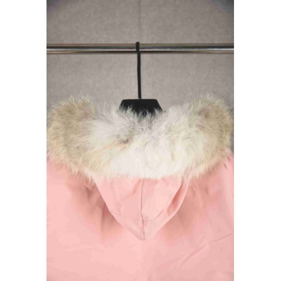 Canada Goose