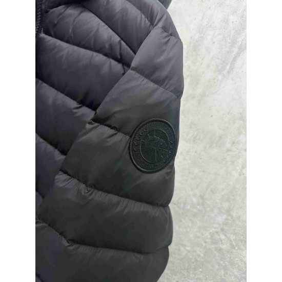 Canada Goose