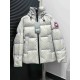 Canada Goose
