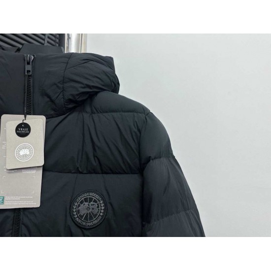 Canada Goose