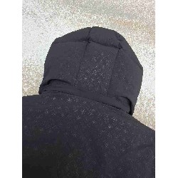 Louis            Vuitton Tops LVY0670