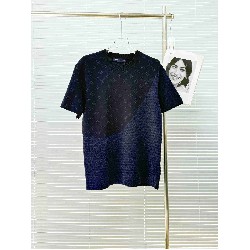 Louis              Vuitton T Shirt LVY0710