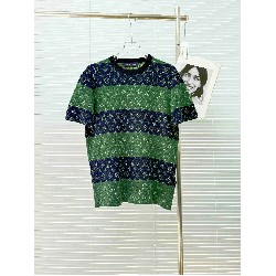 Louis              Vuitton T Shirt LVY0711