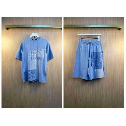 Louis                  Vuitton Set LVY0820