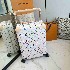 LV       Suitcase LXX0106