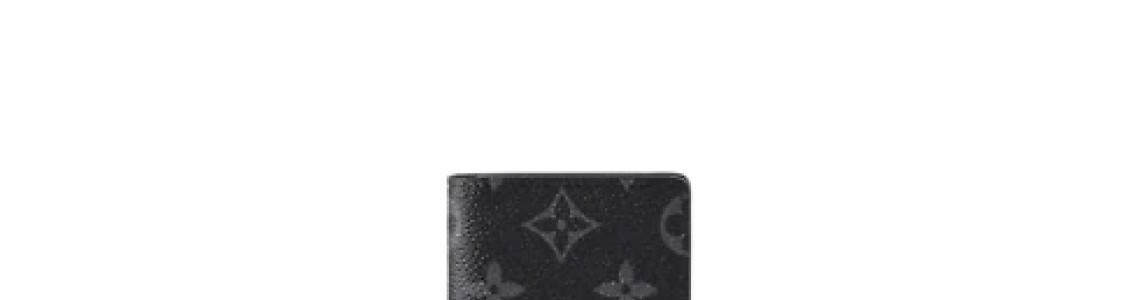 LV Small Leather Goods (wallets)