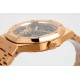 AUDEMARS  PIGUET Royal  Oak 41mm  AU0198