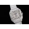 CARTIER    Santos CA0049