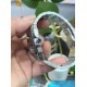 CARTIER      Santos CA0074