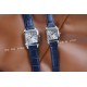 CARTIER    Santos CA0224 (Couple model）