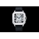 CARTIER    Santos CA0246