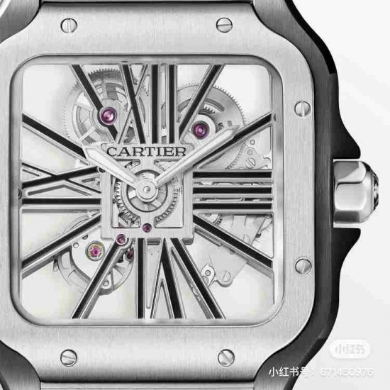 CARTIER    Santos CA0269