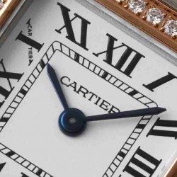 CARTIER   Panthère de 30 CA0291 （small）