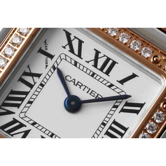 CARTIER   Panthère de 30 CA0291 （small）