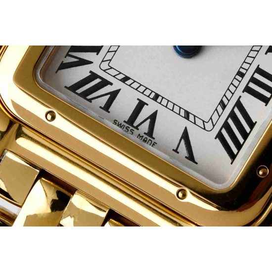 CARTIER   Panthère de 30 CA0293 （small）