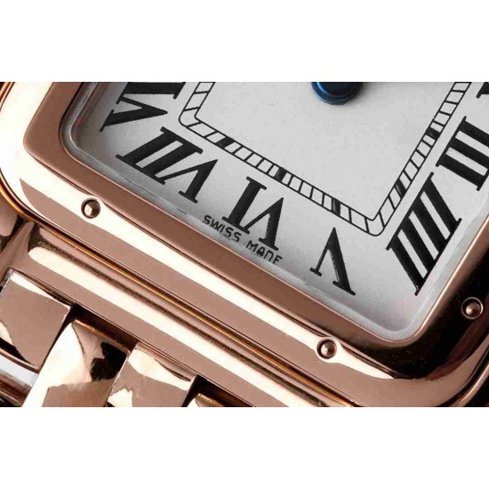 CARTIER   Panthère de 30 CA0295 （small）