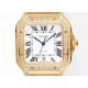 CARTIER     Santos CA0366