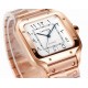 CARTIER     Santos CA0438