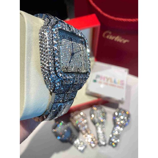 CARTIER   B Santos CA0536