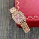 CARTIER  Panthère de 37  CA0540 (medium)