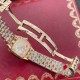 CARTIER  Panthère de 37  CA0540 (medium)