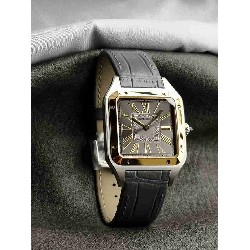 CARTIER      Santos CA0574 CARTIER      Santos CA0574