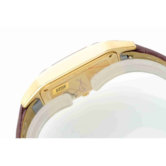 CARTIER      Santos  CA0612