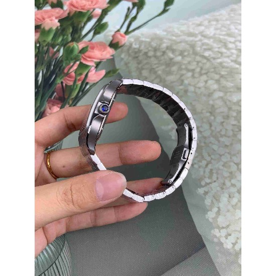 CARTIER      Santos CA0620 （Titanium）