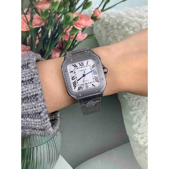 CARTIER      Santos CA0620 （Titanium）