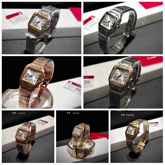 CARTIER      A Santos CA0621 (MINI)
