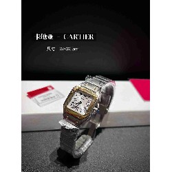 CARTIER      A Santos CA0621 (MINI)