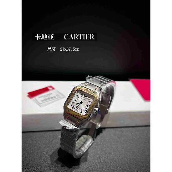 CARTIER      A Santos CA0621 (MINI)