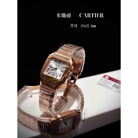 CARTIER      A Santos CA0621 (MINI)