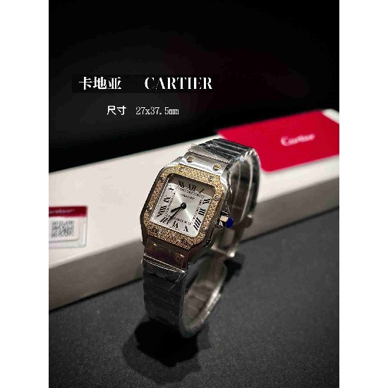 CARTIER      A Santos CA0621 (MINI)