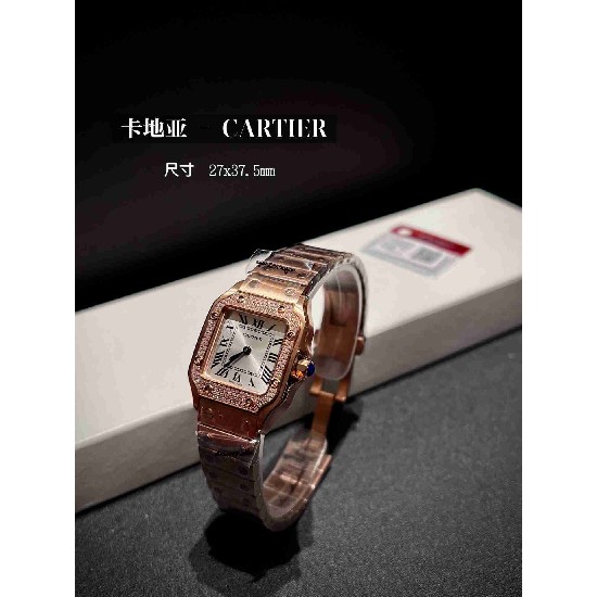 CARTIER      A Santos CA0621 (MINI)