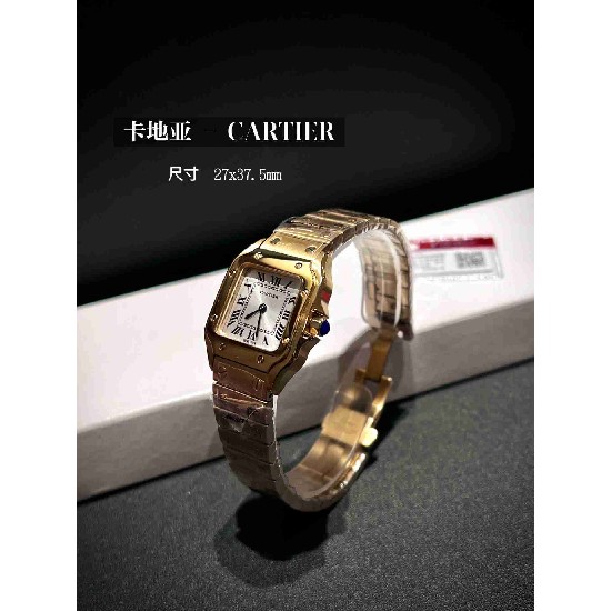 CARTIER      A Santos CA0621 (MINI)