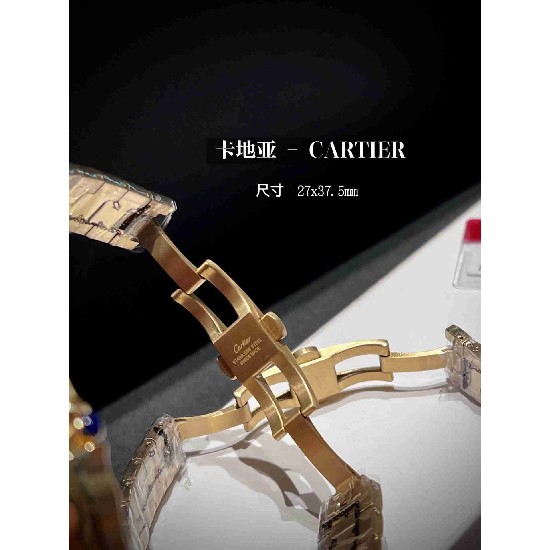 CARTIER      A Santos CA0621 (MINI)