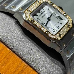 CARTIER     Santos (small) CA0642 (Moissanite)