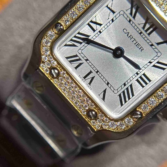 CARTIER     Santos (small) CA0642 (Moissanite)