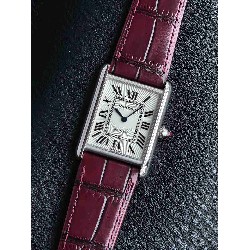 CARTIER     New Tank   CA0658 (2026 new)