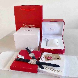 CARTIER      A Santos CA0663