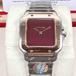 CARTIER    Santos (small) CA0665
