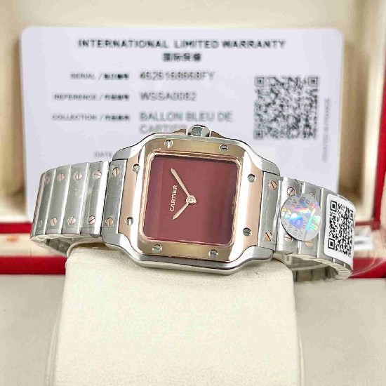 CARTIER    Santos (small) CA0665