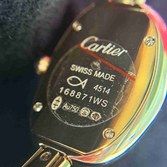 CARTIER  Baignoire  CA0667 (Mini & Small)