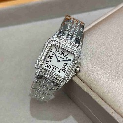 CARTIER    Panthère de  CA0673